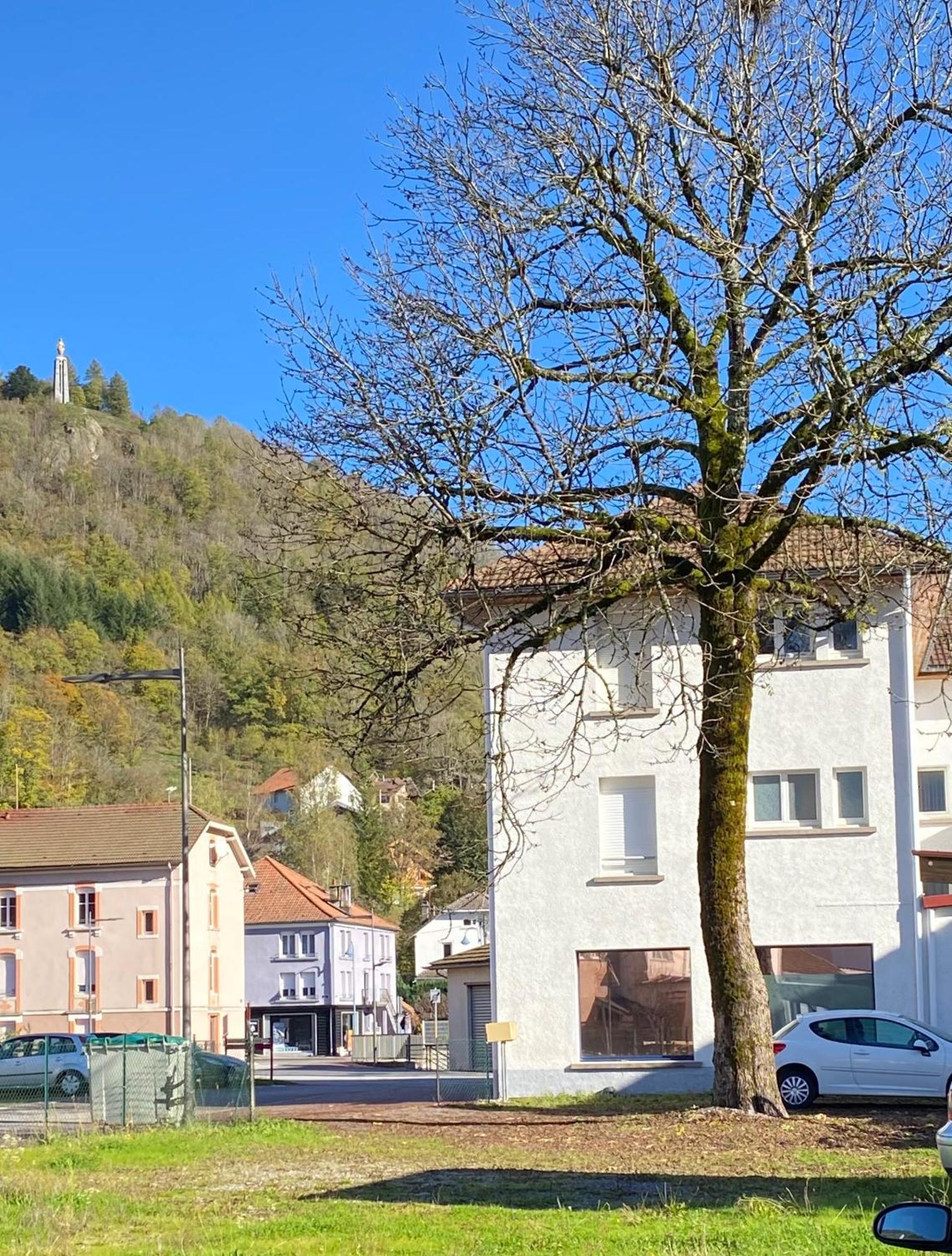 Appartement Grand'Roche à Cornimont Extérieur photo